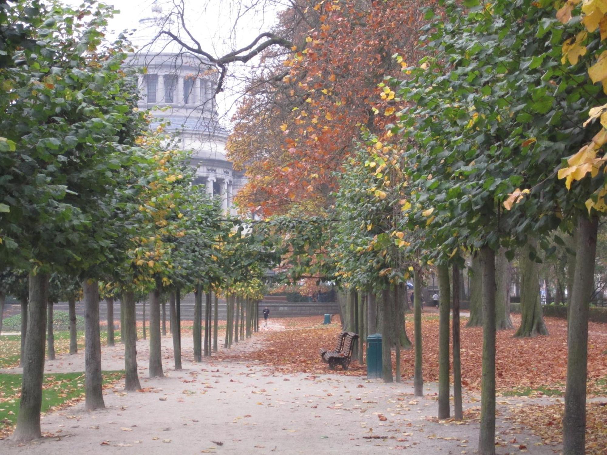 B&B A Cote Du Cinquantenaire Etterbeek Екстериор снимка